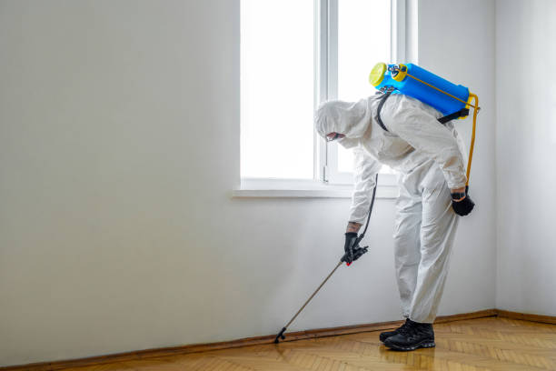 Reliable Valencia West, AZ Pest control Solutions